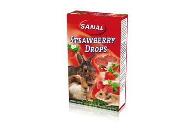 Strawberry drops 45g knaagdierensnack Sanal Beeztees - Sanal