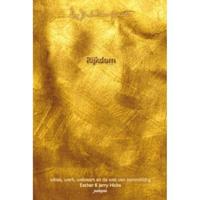 Rijkdom: vraag en het is gegeven (Paperback) - thumbnail