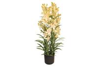 Cymbidium kunstplant 125 cm, groen Buitengewoon de Boet - Buitengewoon de boet - thumbnail