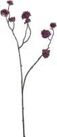Pure Royal kunsttak calicarpa 60cm paars - thumbnail