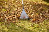 Verstelbare hark 3103-20 50 cm Gardena combisystem - thumbnail