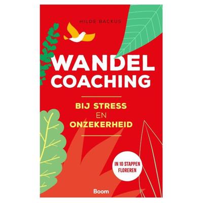 Wandelcoaching bij stress en onzekerheid (Paperback)