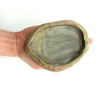 TRIXIE REPTILAND WATER- EN VOERSCHAAL 15X12X3,5 CM 2 ST