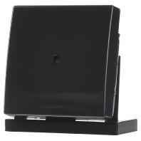 ABB 2138-35 Blindafdekking Afdekking Antraciet, Zwart-grijs 1 stuk(s)