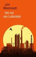 Het nut van Lodesteijn - Lévi Weemoedt - ebook - thumbnail