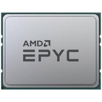 AMD Epyc 7303P 8 x 2.8 GHz Octa Core Processor (CPU) tray Socket: AMD SP3 120 W - thumbnail