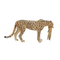 Mojo wildlife cheetah vrouwtje met welp 387167 - thumbnail