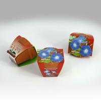 Greengift Terracotta Ipomoea Heavenly blue - thumbnail