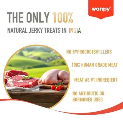 WANPY OVEN-ROASTED CHICKEN JERKY CHIPS - thumbnail
