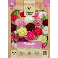 Tuinanjer grenadin mengsel 50st - thumbnail