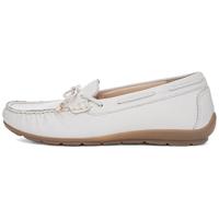 Ara 1219212 - alle - thumbnail