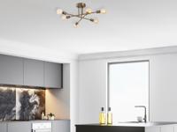 Plafondlamp FLORUS 6 lampen vintage - thumbnail