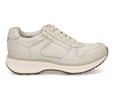 Xsensible New Jersey 30150.3 176 soft pearl c Beige maat 42