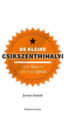 De kleine Csikszentmihalyi - Jeroen Ansink - eBook (9789047011996)