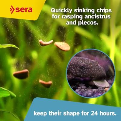 Sera Wels-Chips Nature 250ml - Natuurvoer voor Bodemvissen, Zonder Kunstmatige Additieven - thumbnail