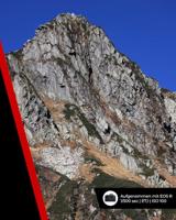 Canon RF-S 55-210mm F/5-7.1 IS STM - thumbnail