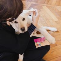 Vochtige Doekjes voor Huisdieren Inodorina Refresh 24 Stuks - thumbnail