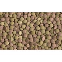 Plantastart 12 tabletten Vis Gebr. de Boon Tetra - Tetra - thumbnail