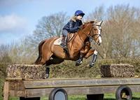 Le Mieux Carbon Air XC boots front zwart maat:l - thumbnail