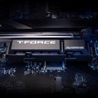 Team Group T-FORCE G70 Pro 2 TB ssd PCIe 4.0 x4 | M.2 2280 | Aluminium-Heat Sink - thumbnail