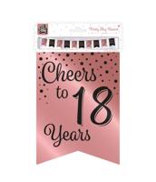 Verjaardagsslinger Vaandel 18 Jaar Roze/Zwart (6m) - thumbnail