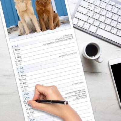 Golden Retriever Slim Calendar 2026 Dog Breed Slimline Calendar - 12 Month