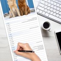 Golden Retriever Slim Calendar 2026 Dog Breed Slimline Calendar - 12 Month - thumbnail