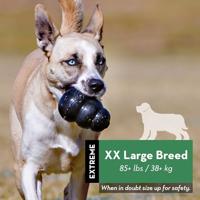 Hond Extreme rubber XXL zwart Kong Gebr. de Boon - Kong - thumbnail