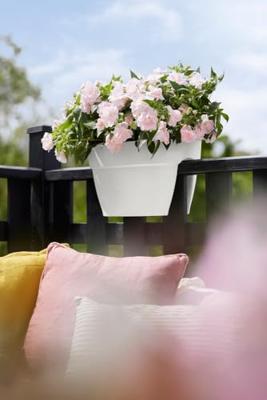 Elho Balkonbak Vibia Campana flower bridge 40cm wit - thumbnail