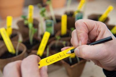 Nature plantenetiketten 25 stuks 10 cm met potlood