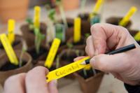 Nature plantenetiketten 25 stuks 10 cm met potlood - thumbnail