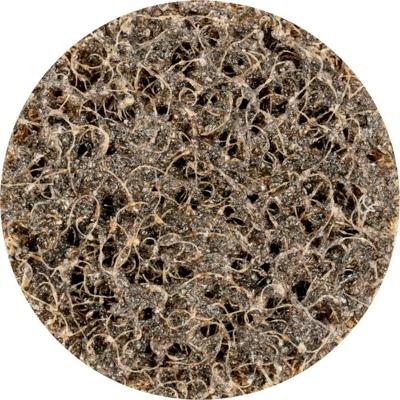 PFERD TOOLS 42781381 Schuurschijf Diameter 38 mm