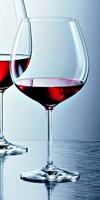 Schott Zwiesel Bourgogne Glazen / Gin Tonic Glazen Ivento - 780 ml - 6 stuks - thumbnail