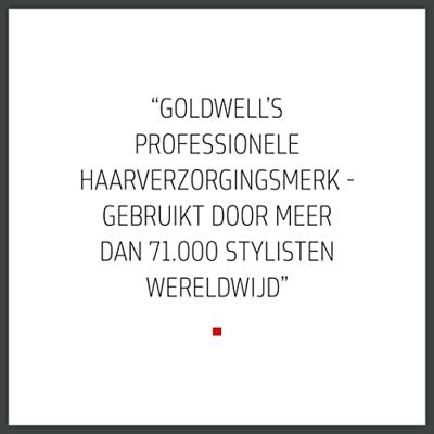 Goldwell Dualsenses Bond Pro Fortifying Shampoo 250ml Goldwell Dualsenses Bond Pro Fortifying Shampoo 250ml