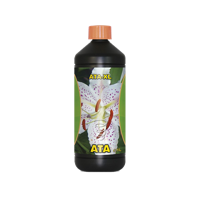 Atami Atami Ata XL - thumbnail