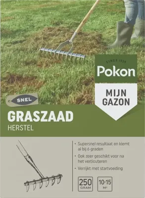 Pokon graszaad herstel 250 gram