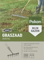 Pokon graszaad herstel 250 gram - thumbnail