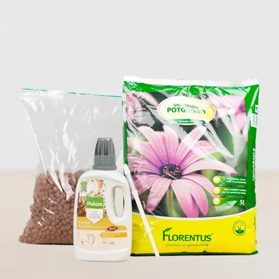 Planten Verzorgingsbox