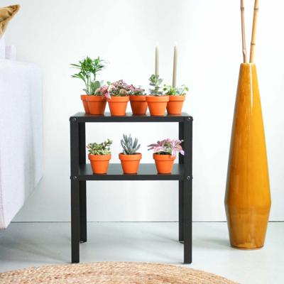 Groene Mini Plantenbox (10 stuks) Groene Mini Plantenbox (10 stuks)