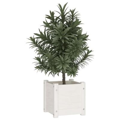 VidaXL Plantenbak 31x31x31 cm massief grenenhout wit VidaXL Plantenbak 31x31x31 cm massief grenenhout wit