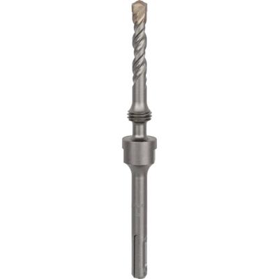 Bosch Accessories 2608598046 2608598046 1 stuk(s)