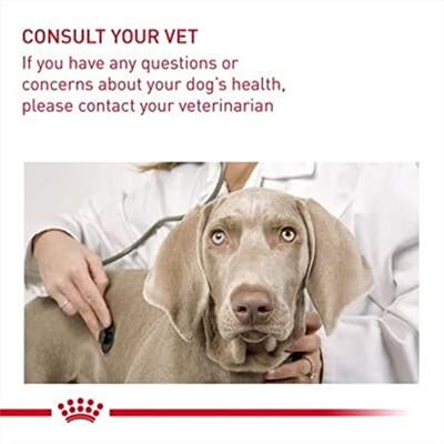 Royal Canin CCN MINI LIGHT WEIGHT CARE - droogvoer voor volwassen honden - 3kg