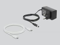 DeLOCK M.2 Docking Station dockingstation - thumbnail