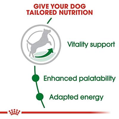 Royal Canin Mini Adult 8+ hondenvoer 2 x 8 kg - thumbnail