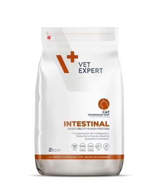 VET EXPERT Veterinary Diet Intestinal Cat - droogvoer voor katten - 2 kg
