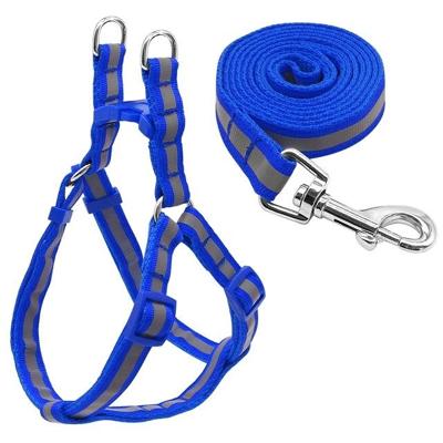 Kleine medium honden nylon reflecterende leiband lead set grootte: S (blauw)