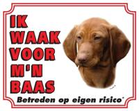 Vizsla Waakbord - thumbnail