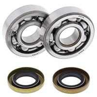 ALL BALLS Racing krukas lagerset crankshaft bearing set ab 24-1102 with simmerrings - thumbnail