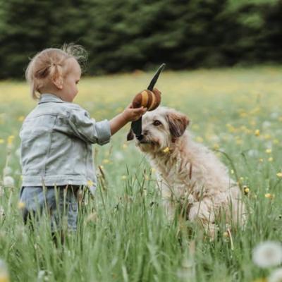HUNTER Honden knuffel Florenz Bij, geel HUNTER Honden knuffel Florenz Bij, geel