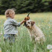 HUNTER Honden knuffel Florenz Bij, geel - thumbnail